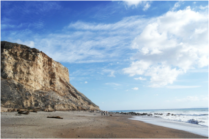 Picture of Cliffs and Ocean